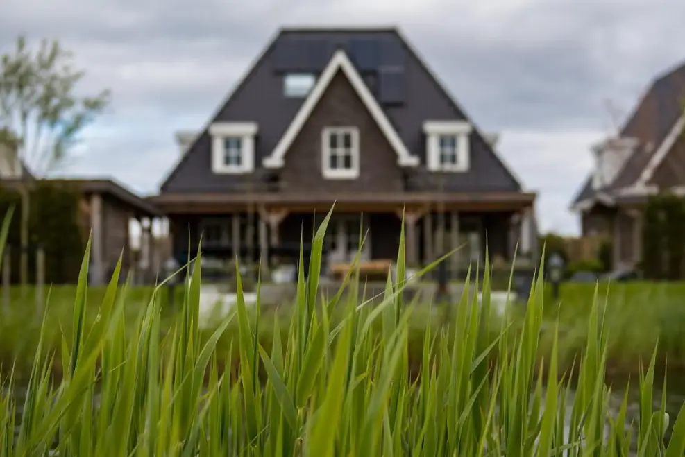 green-grass-sod-curb-appeal-house