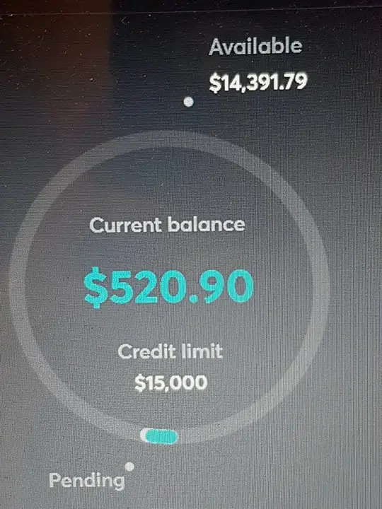 pending credit card transactions