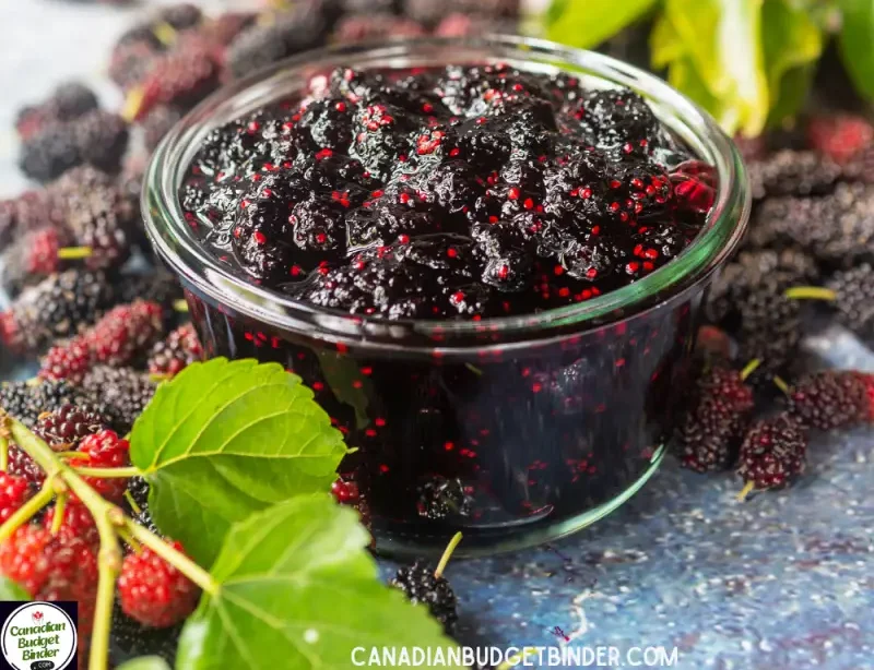 Organic Sugar-Free Mulberry Jam
