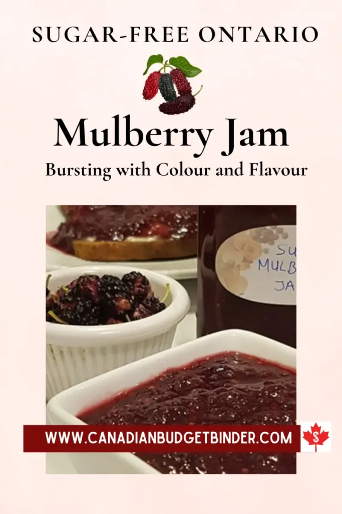 Sugar-free Ontario Mulberry Jam