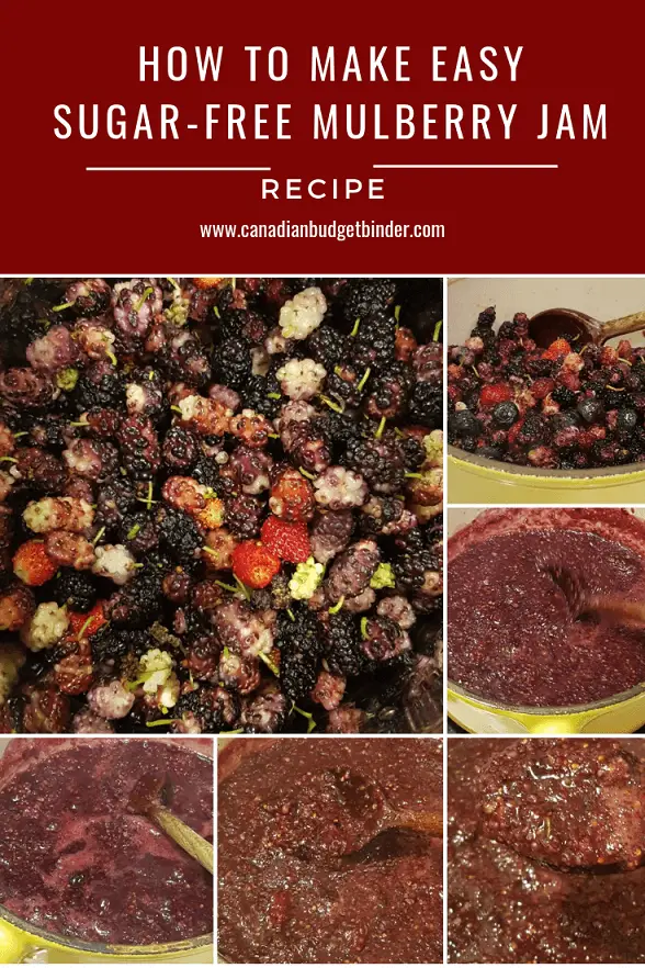 how to make sugar-free mulberry jam