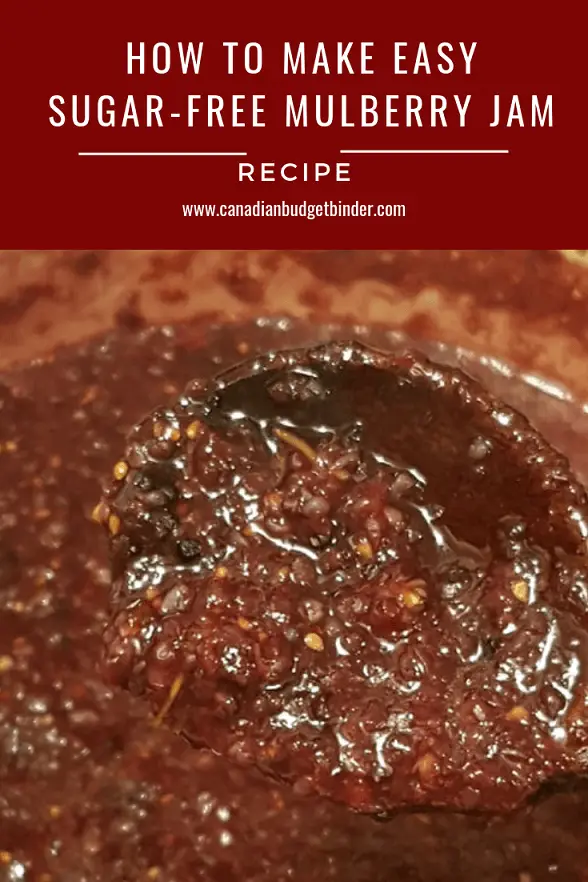 sugar-free mulberry jam-3