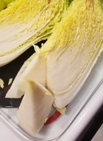 napa cabbage