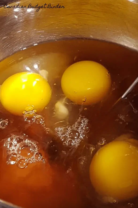 eggs