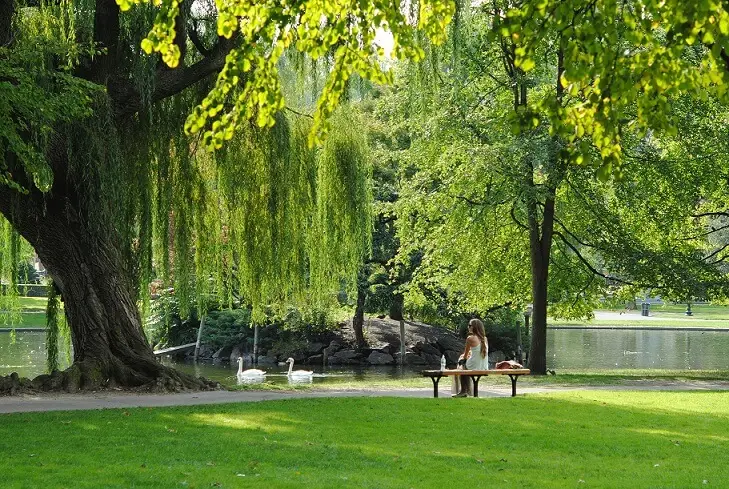 woman-sitting-in-the-park-on-a-bench