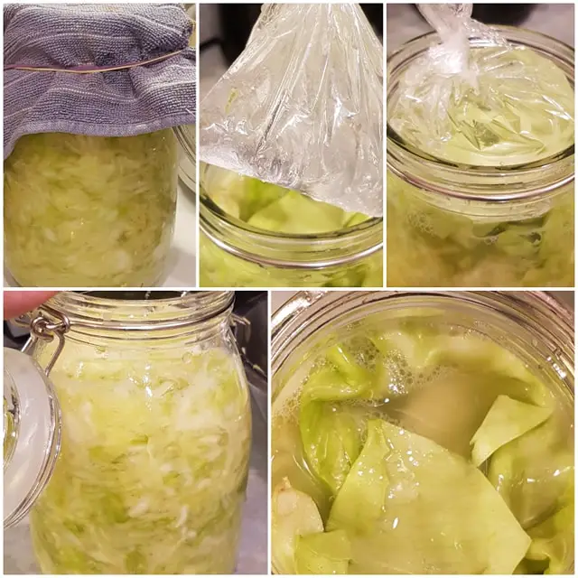 keto Sauerkraut