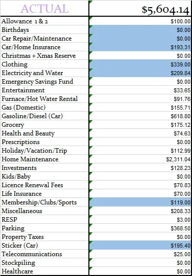 January-2020-Actual-Monthly-Budget