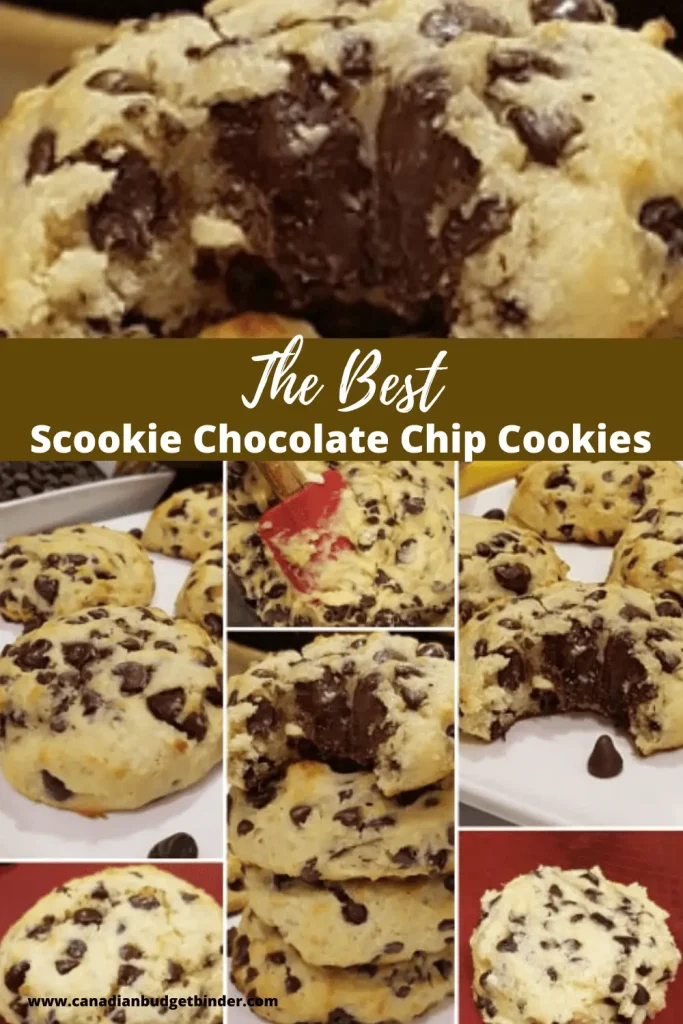 Scookies