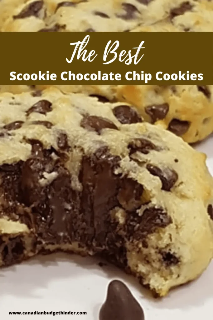 Scookies Ultimate Chocolate Chip Cookies