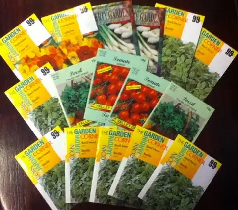 Spring-garden-seeds (1)