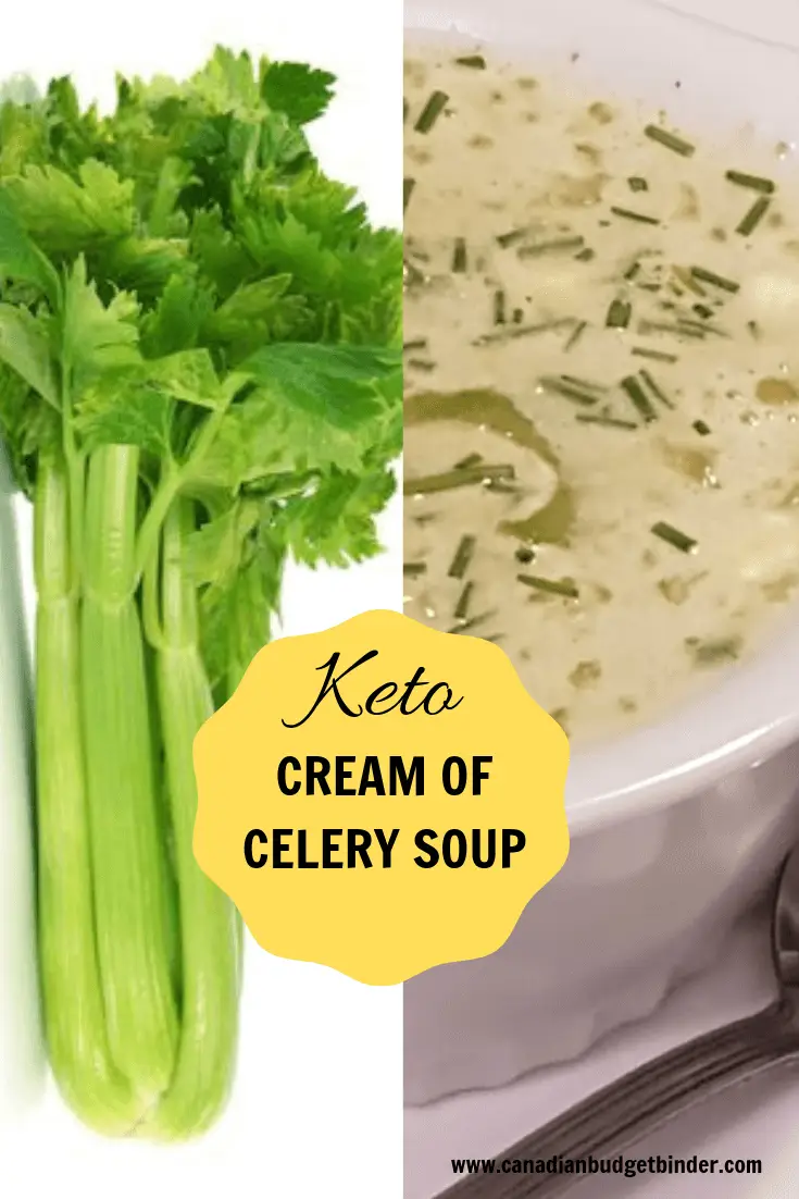 EASY-KETO-CREAM-OF-CELERY-SOUP-1-1