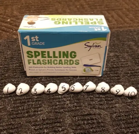 coloured-shells-for-math-kids-fun-indoor-games