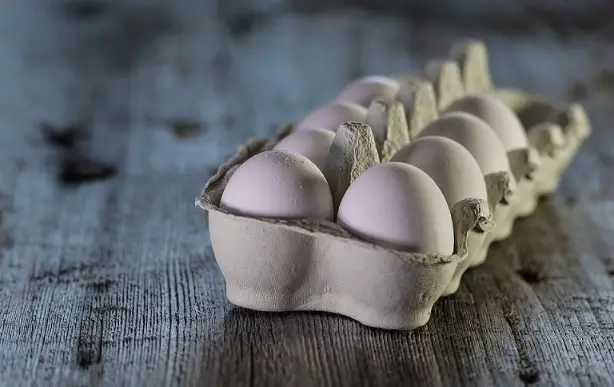 dozen-of-white-eggs