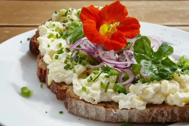 fresh-nasturtiums-on-bread-