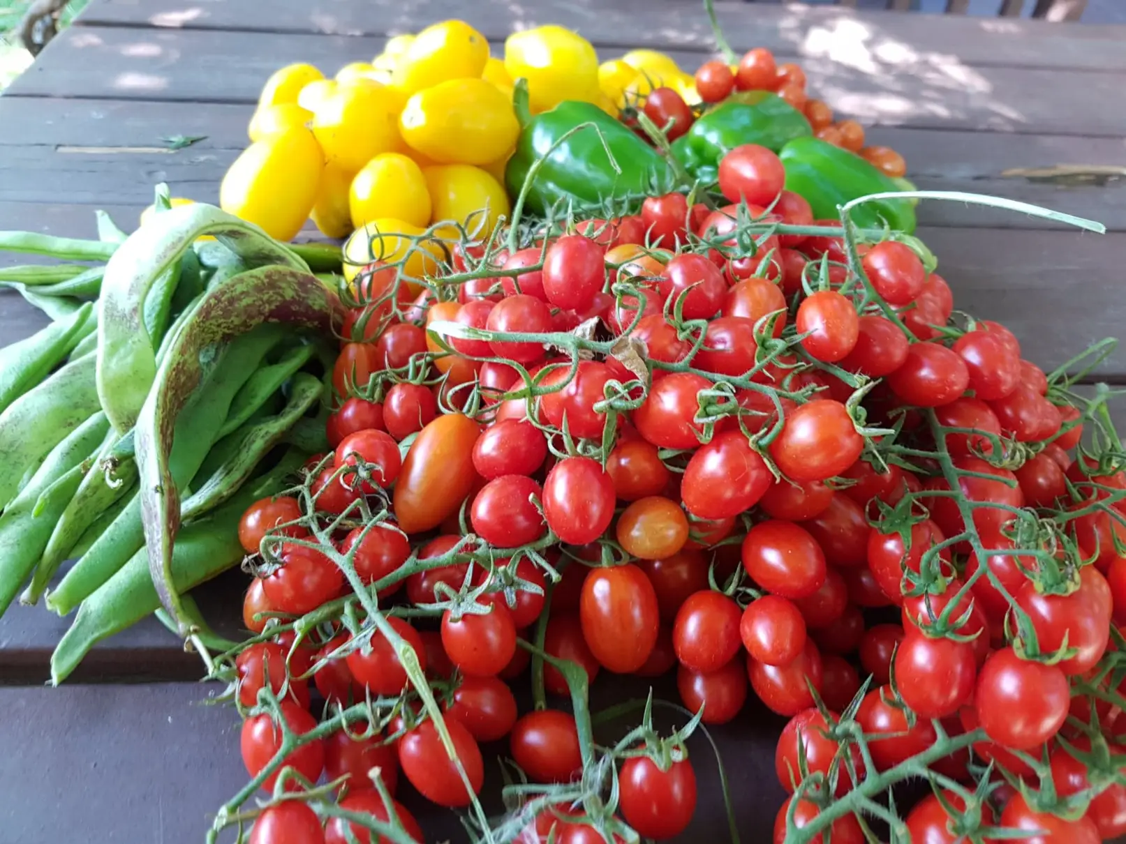 vegetables