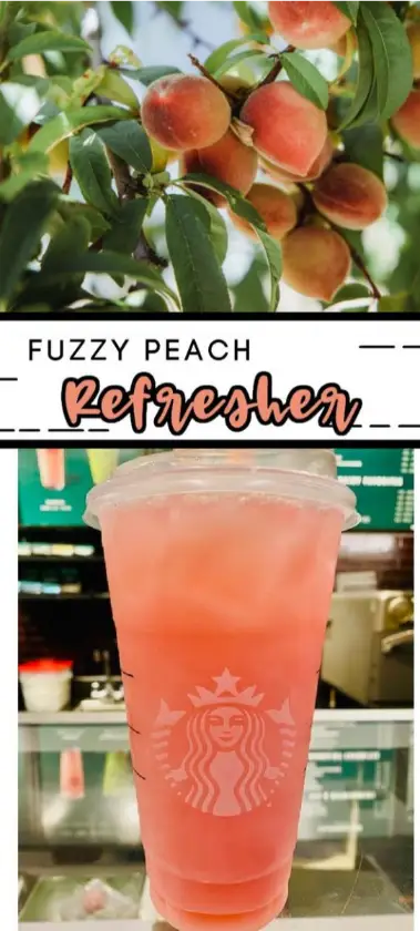 Fuzzy Peach Refresher From Starbucks