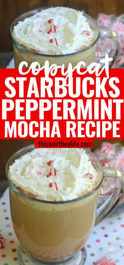 Peppermint Mocha Drink Starbucks