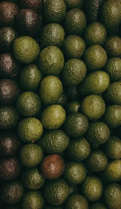 avocado