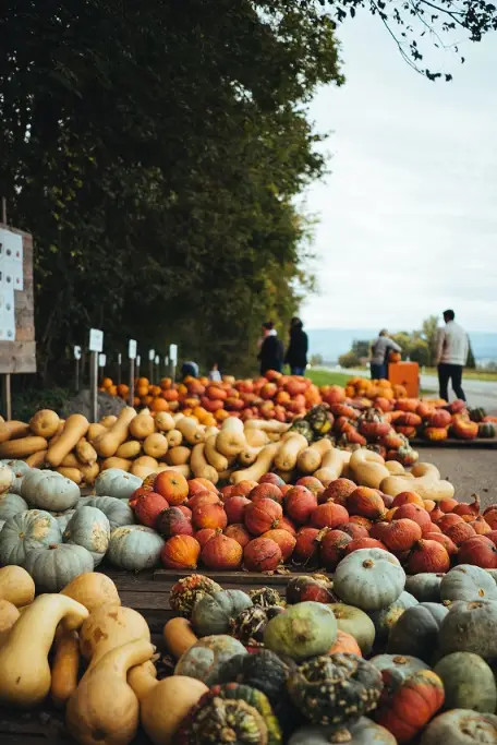 squash