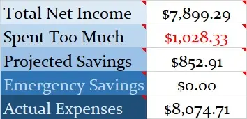 June-2020-Month-Income-and-Expenses