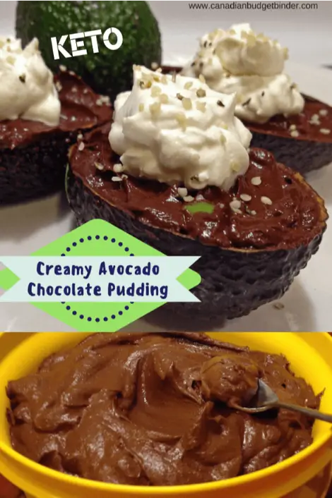 avocado pudding
