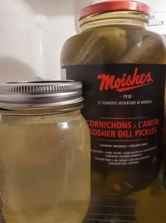 fermented pickle juice uses