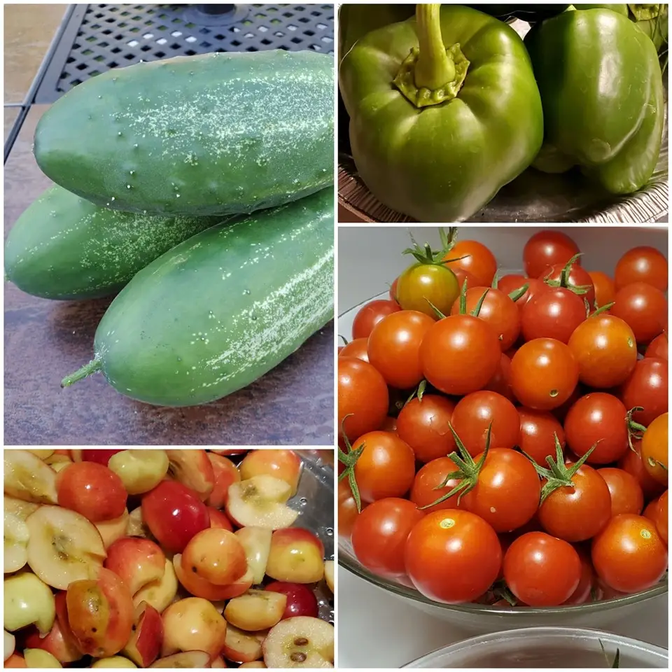 organic garden vegetables
