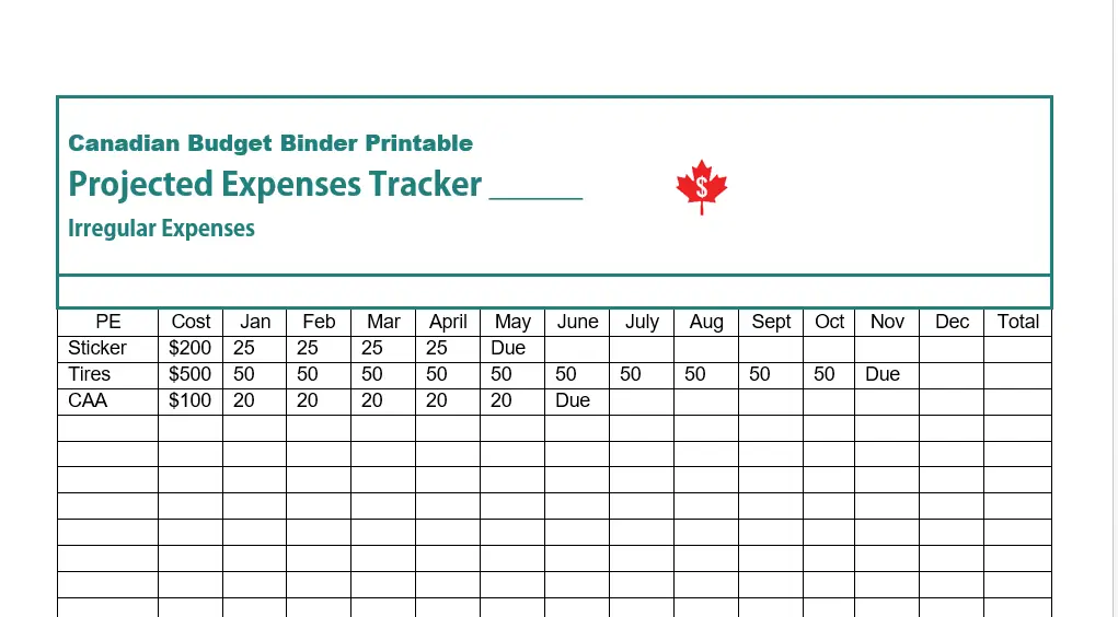 future expenses