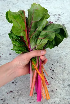 greens from beets
