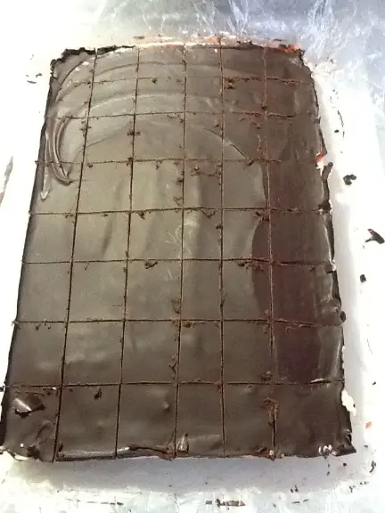 Cutting Nanaimo Bars