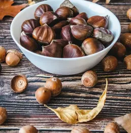 Christmas nuts