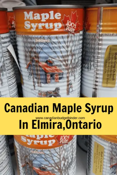 Canadian Maple Syrup