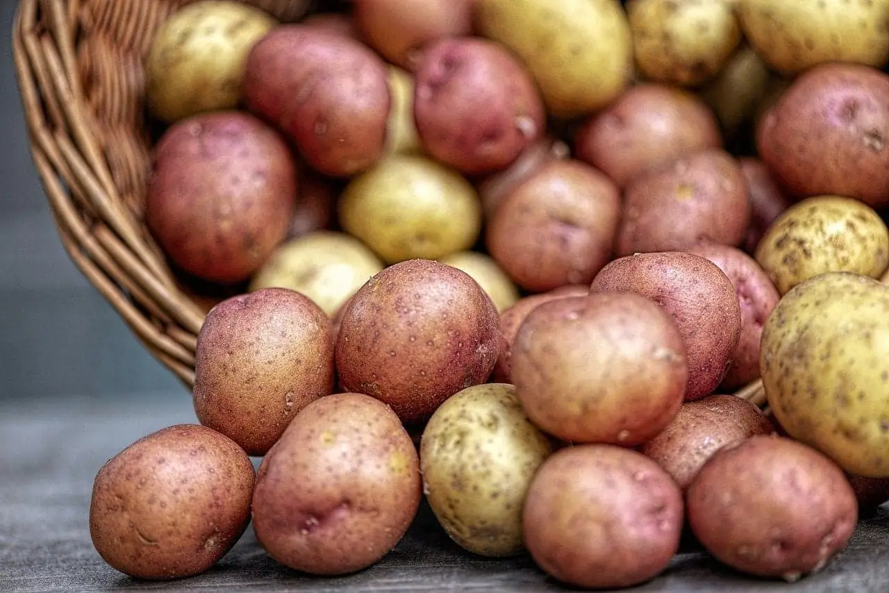Potato-Egg-Bake-2