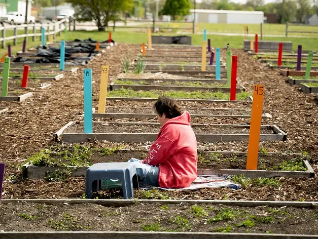 garden community plot