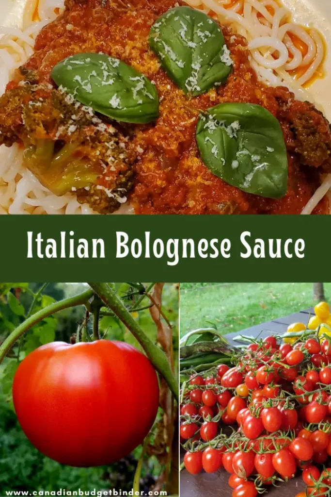 Italian Bolognese Sauce and Fresh Organic Tomatoes