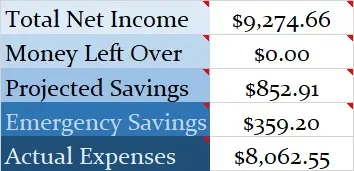 Family Budget Income Report
