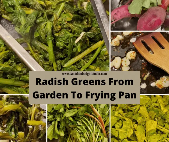 Prepare Radish Greens