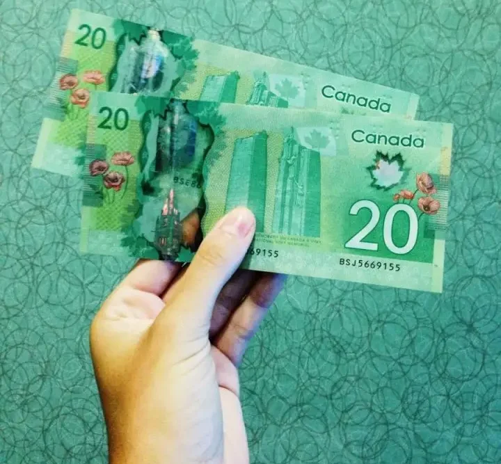 blogging-mistakes-where-I-lost-Canadian-money