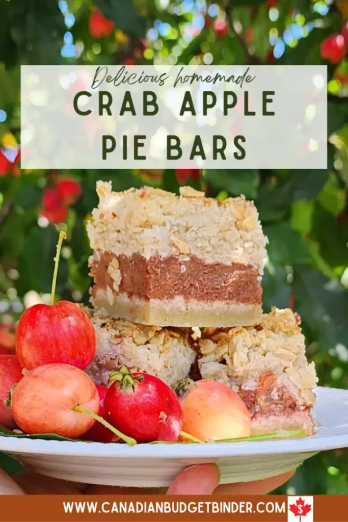 Delicious Homemade Crab Apple Pie Bars