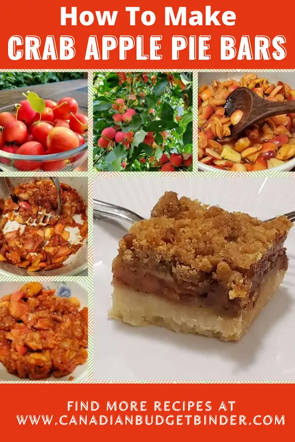 How to make crab apple pie bars