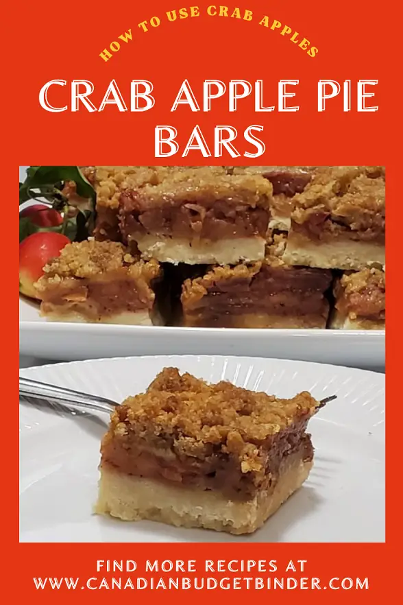 Crab Apple Pie Bar on a dish with a fork