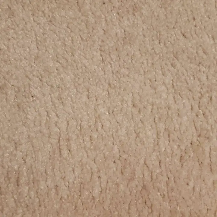 Dirty Pink Carpet In Our Livingroom that looks beige now.