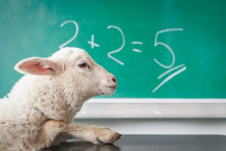 Math skills can cause budgeting problems