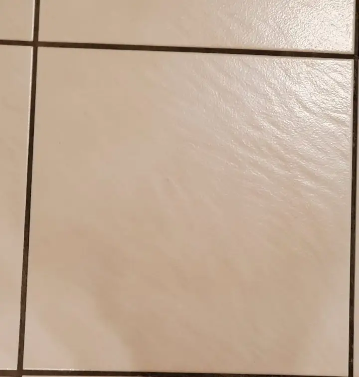 Pink Tiles with Black Dirty White Grout