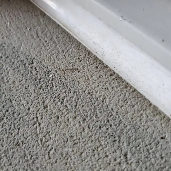 I stripped the old caulking around the windows and put new caulking.