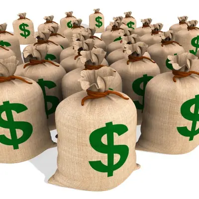 cash only bags