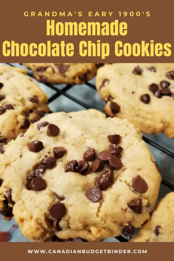 Chocolate Chip Cookies Freshly Baked on A Cooling Rack