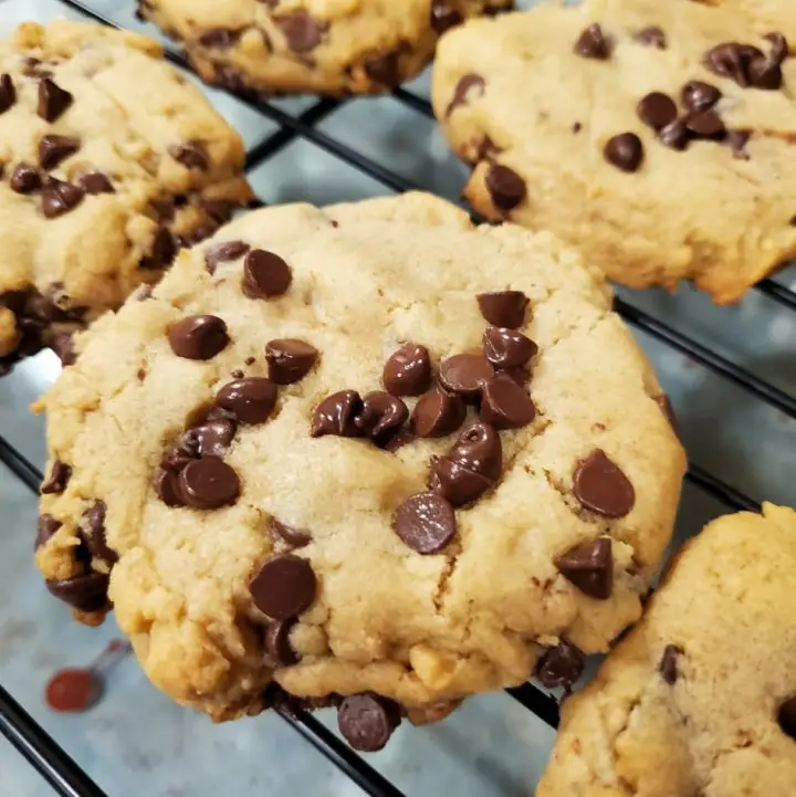 Homemade Chocolate Chip Cookies cooling on a cooling rack