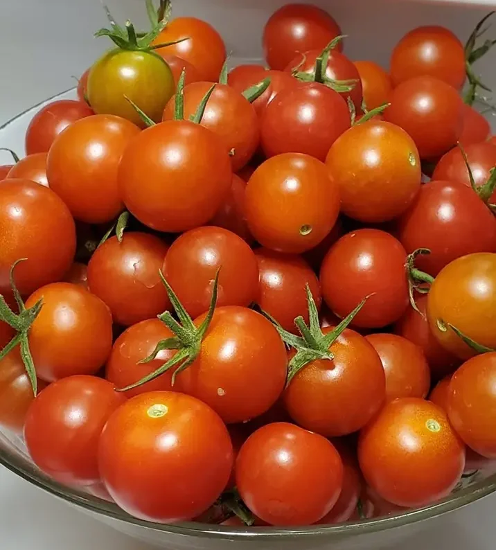 Italian cherry tomatoes