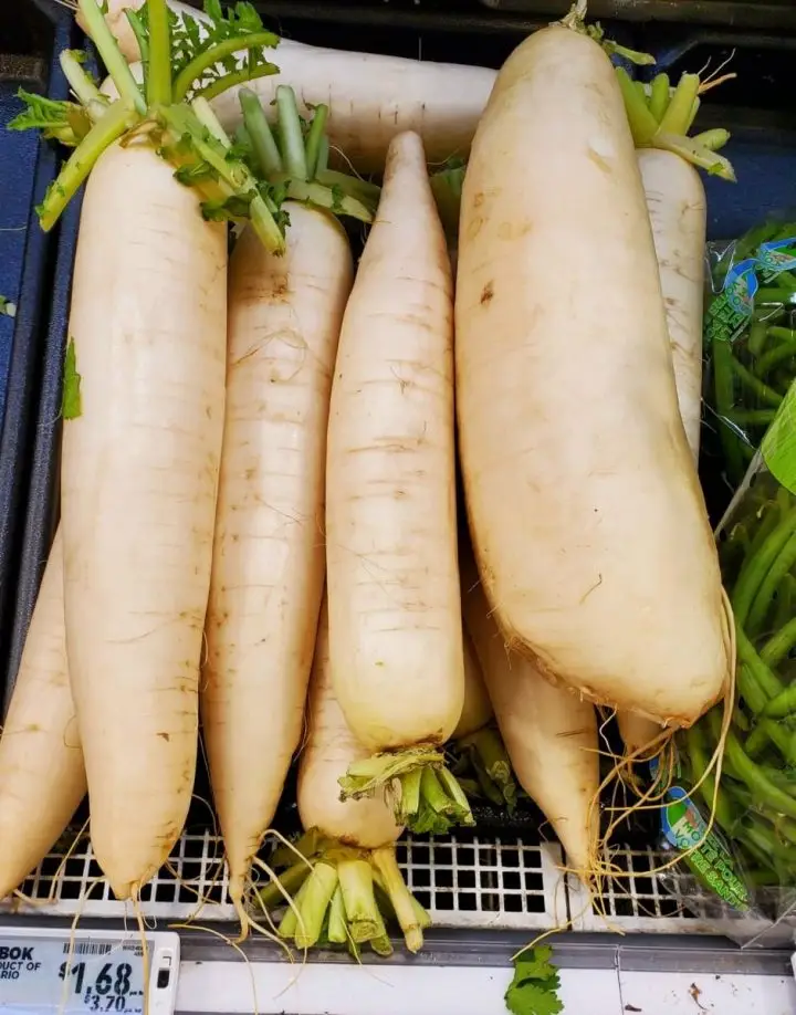Daikon Radish at Food Basics